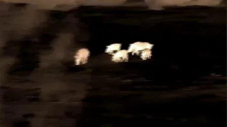 최신 열 탐지 전술적 야간 투시경 망원경 야간 투시경 사냥 범위